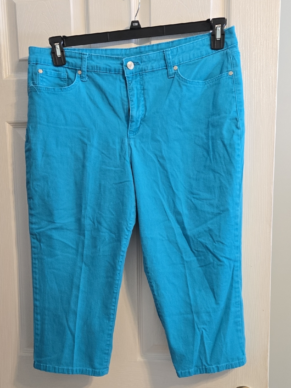 Kim Rogers Teal Capri Pants